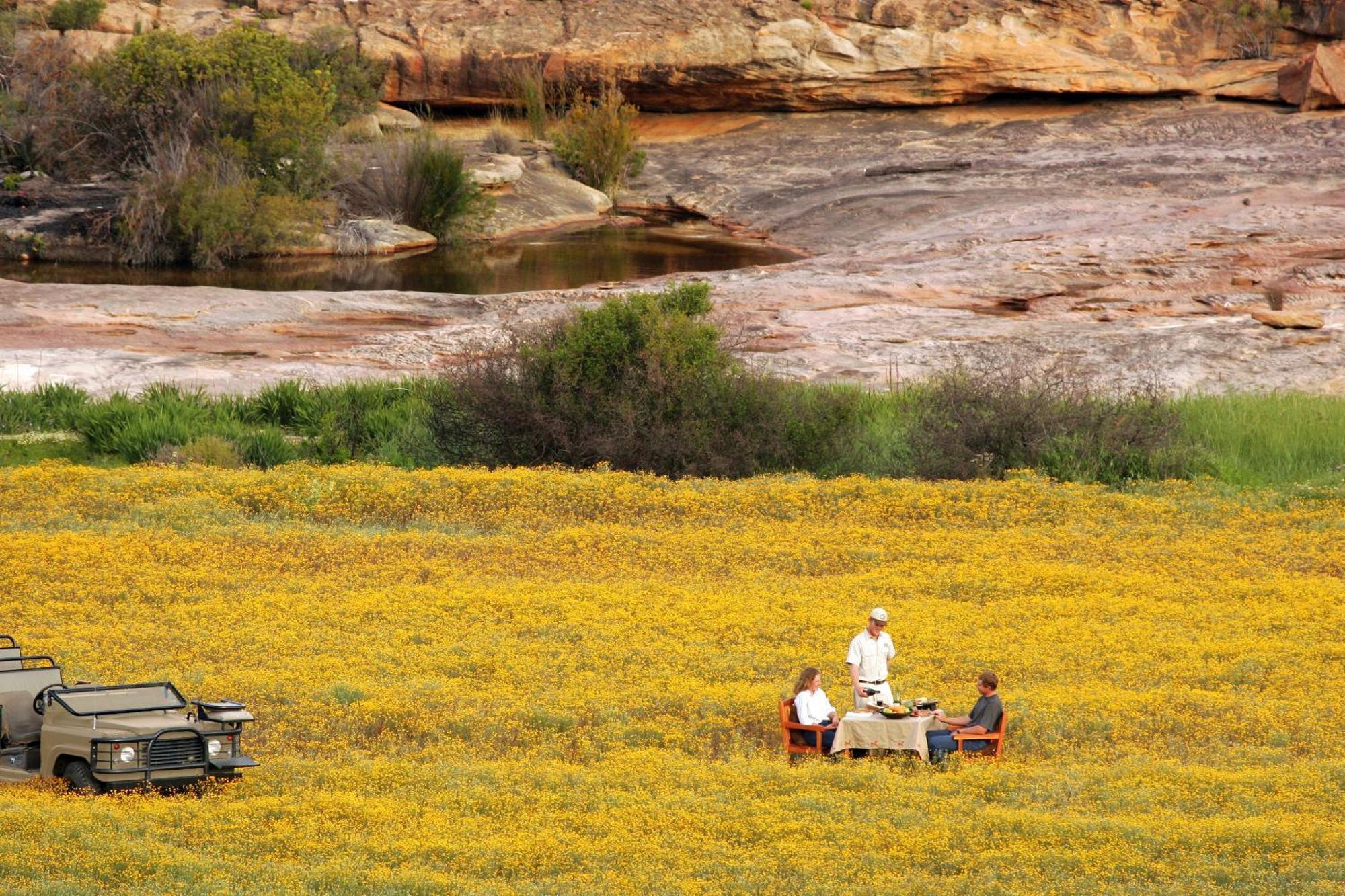 Bushmans Kloof Wilderness Reserve And Wellness Retreat Clanwilliam Eksteriør billede